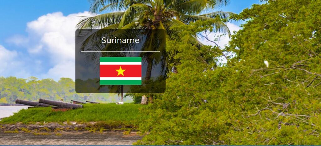 Suriname Country Flag